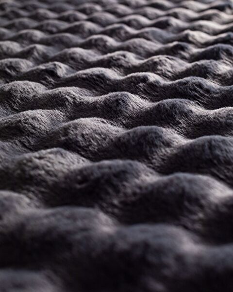 دارسيو بلش - 2