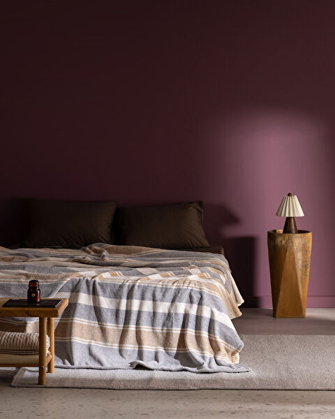 بطانية مطبوعة من أركاتشون ويلسوفت - 0