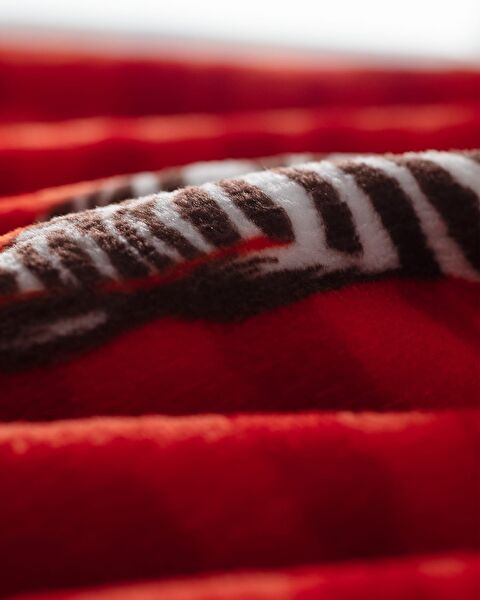 Zebresse Welsoft Polar Printed TV Blanket - Orange - 4