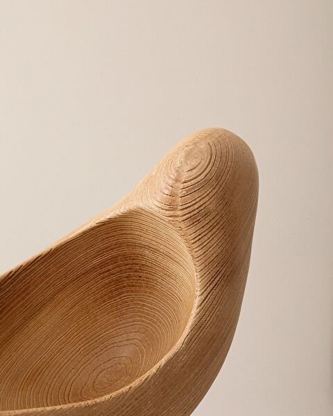 Willow Figurine - Camel - 4