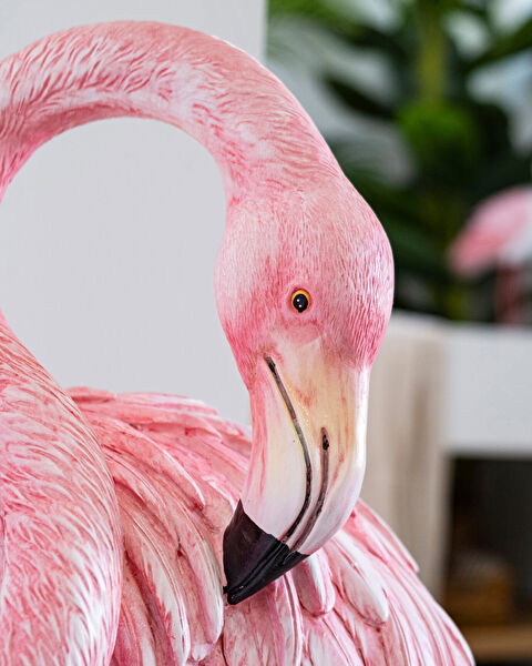 كاميلا ترنكيت - 2