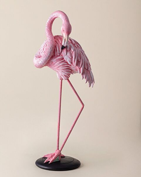 كاميلا ترنكيت - 4