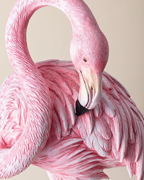 كاميلا ترنكيت - 5