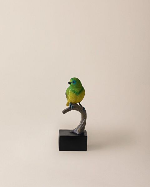 حلية المانجو - 0