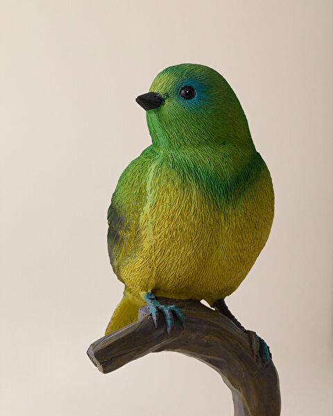 حلية المانجو - 2