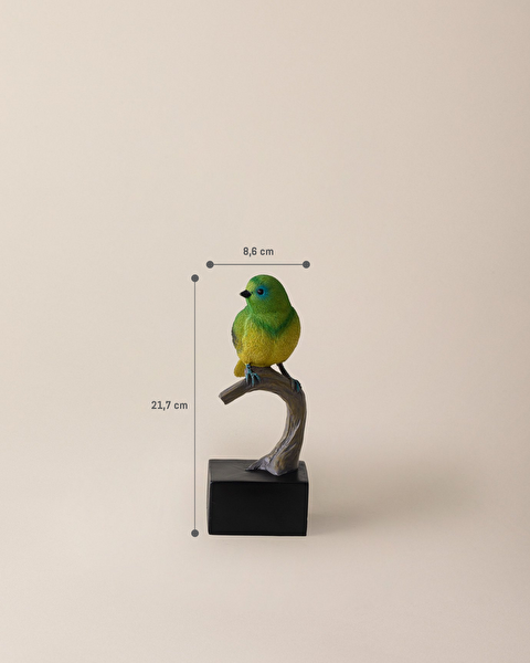 حلية المانجو - 3