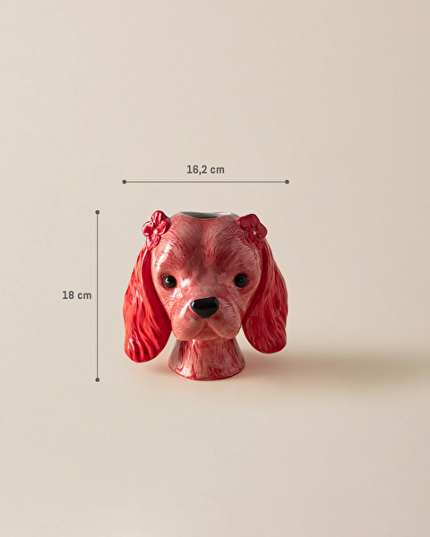 كلوي ترنكيت - 4