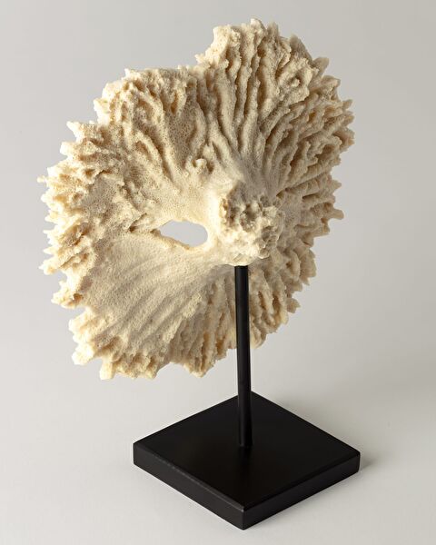 فيفيان ترنكيت - 3