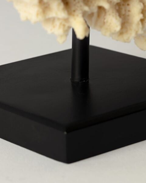 فيفيان ترنكيت - 2