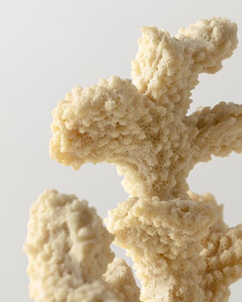 Josephine Trinket - 1