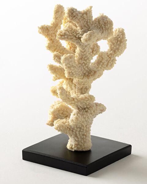 Josephine Trinket - 3