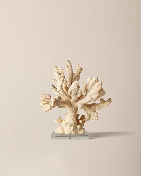 بياتريس ترنكيت - 0