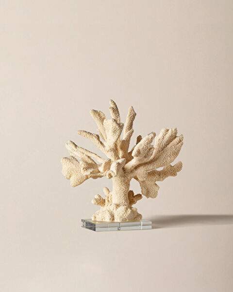 بياتريس ترنكيت - 1