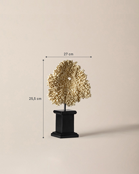 هيلين ترنكيت - 4
