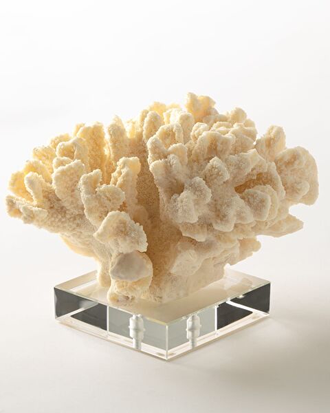 فلور حلية - 3