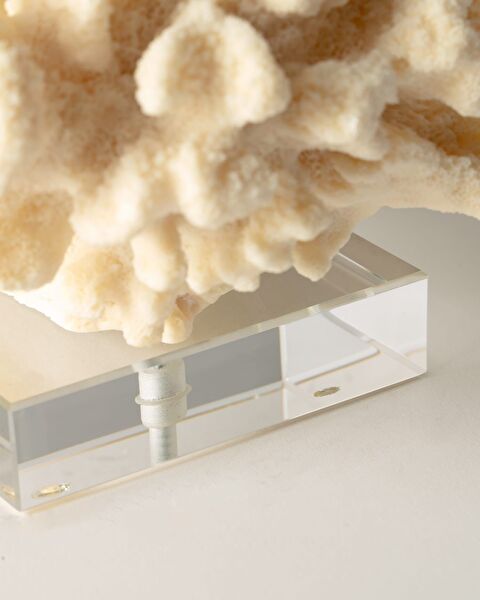 فلور حلية - 2