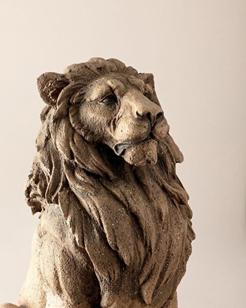 Pierre Bust - Light Brown - 2