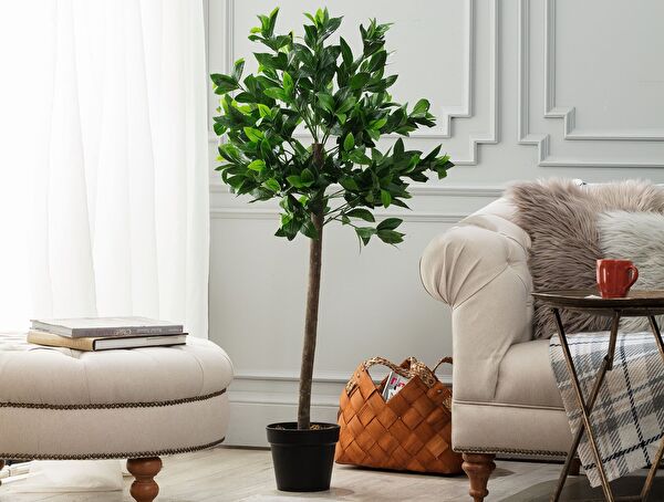 Fleurir Potted Plant - 0