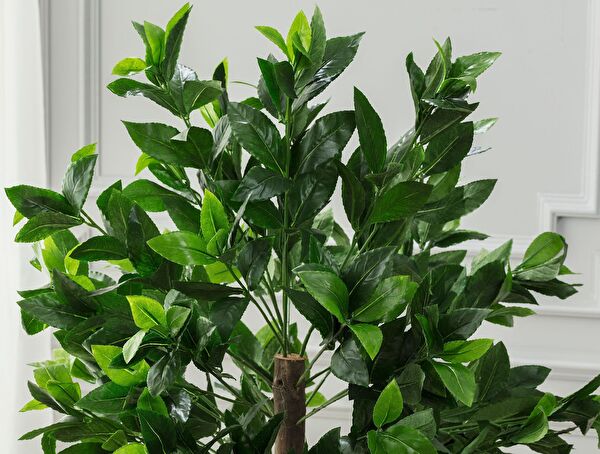 Fleurir Potted Plant - 1