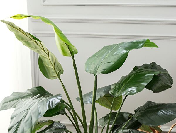 Floralies Potted Plant - 1