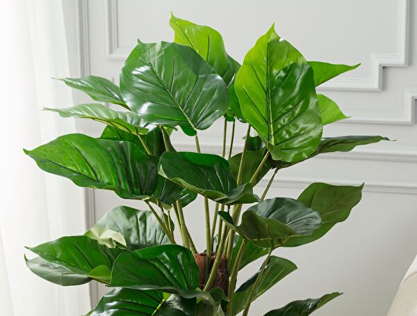 Branche Potted Plant - 1