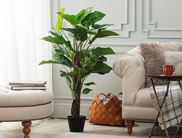 Branche Potted Plant - 0