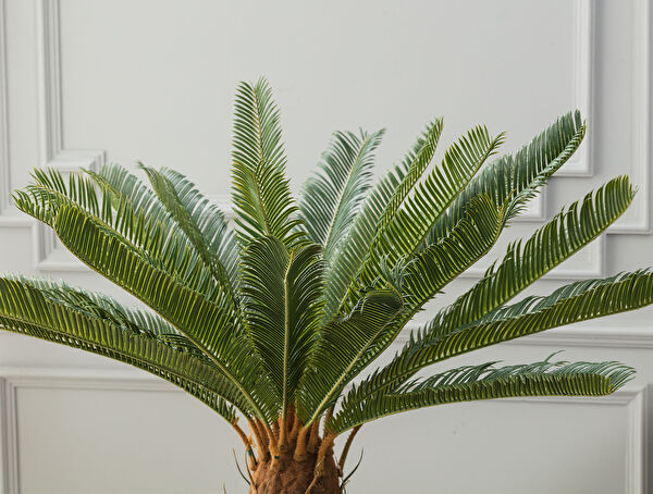 Montagne Potted Plant - 1