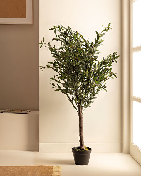 Mabelle Topfblume - 1