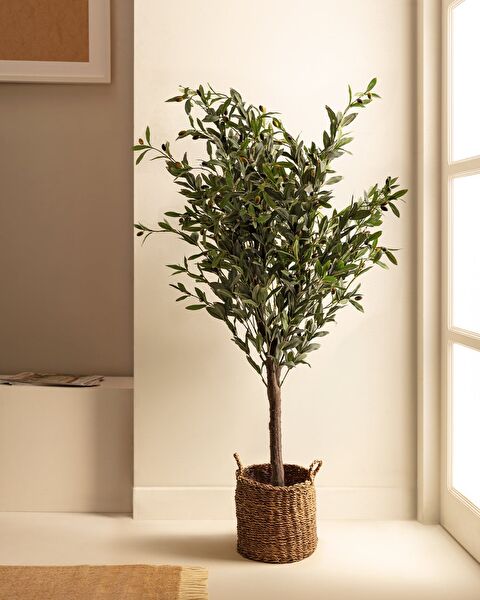 Mabelle Topfblume - 0