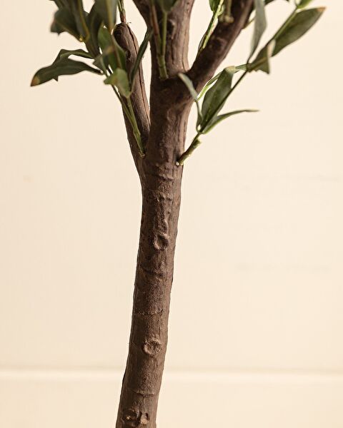 Mabelle Topfblume - 3