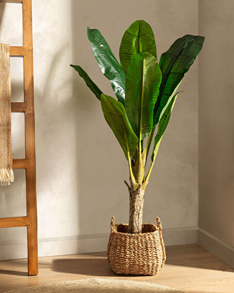 Karla Potted Flower - 0