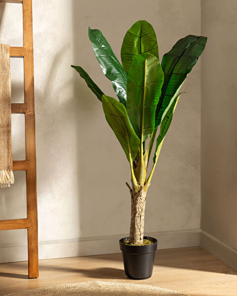 Karla Potted Flower - 1