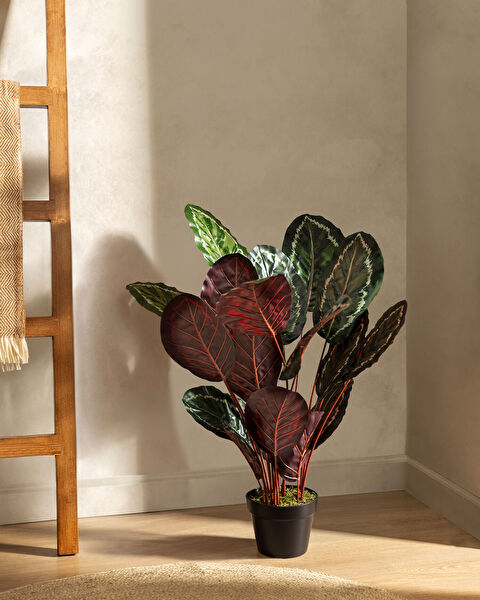 Nicola Potted Flower - 1