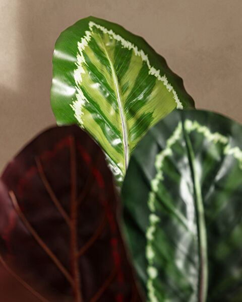 Nicola Potted Flower - 2