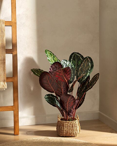 Nicola Potted Flower - 0