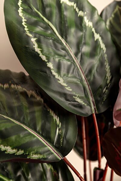 Nicola Potted Flower - 3