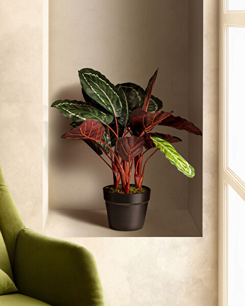 Nicola Potted Flower - 1