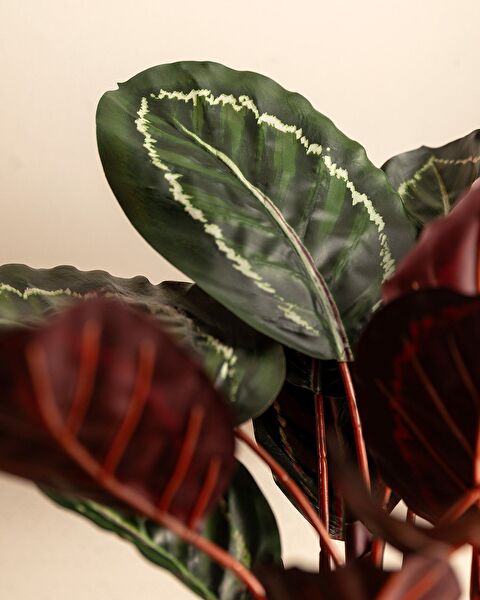 Nicola Potted Flower - 2