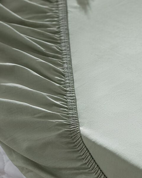 Manon Single 100% Cotton Elastic Ranforce Bed Sheet - Green - 1