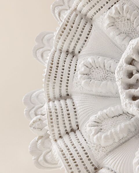 Shelly Wall Accessory - White - 4