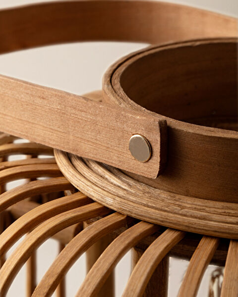 دارلا ليتل فانوس - 2