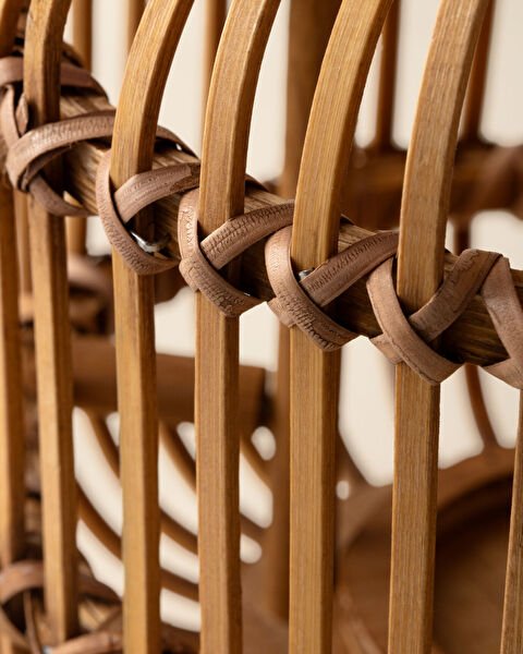 دارلا ليتل فانوس - 4