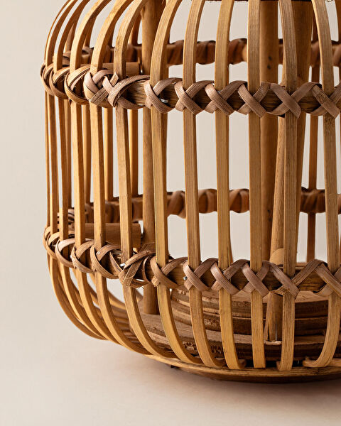 دارلا ليتل فانوس - 3