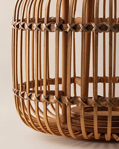 دارلا الفانوس الكبير - 3