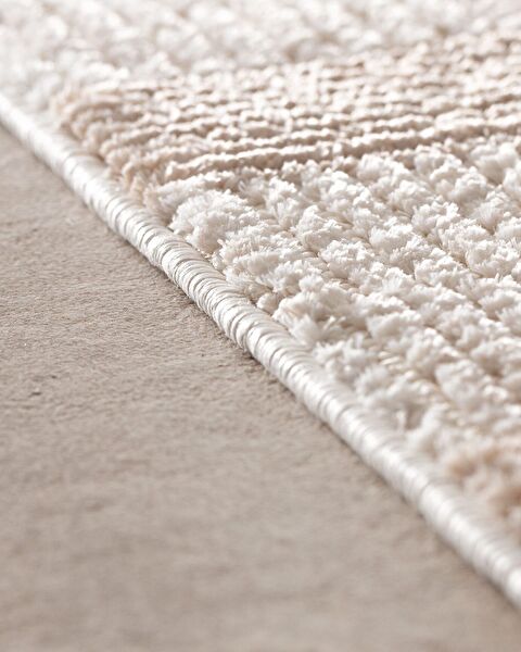 Allance Carpet - 2