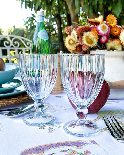 Fiona 4-piece Short Wine Glass Set - 1