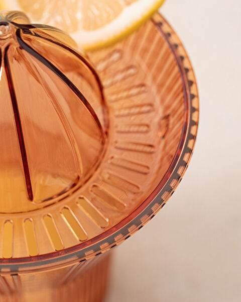 Henric Citrus Juicer - 2