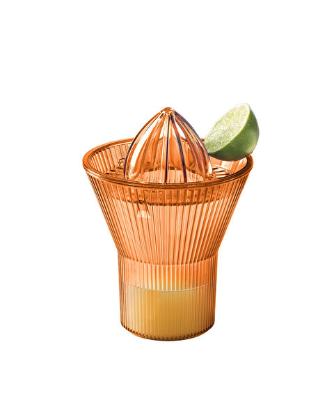 Henric Citrus Juicer - 5