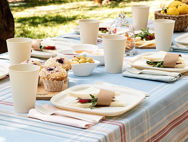 مجموعة نزهة إميلي - 0