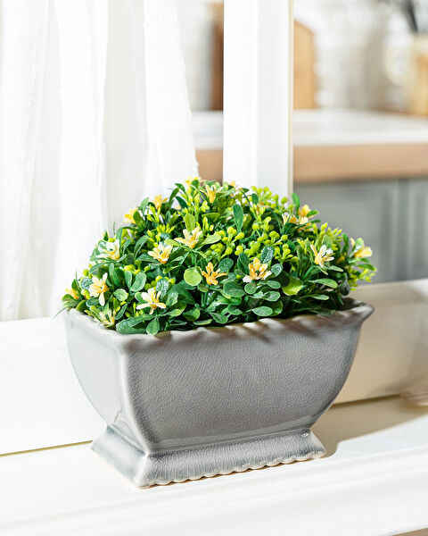 Pot de fleurs Ames